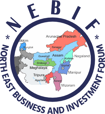 Vibrant North East 2025