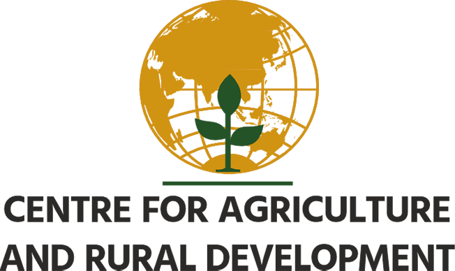 Vibrant North East 2025